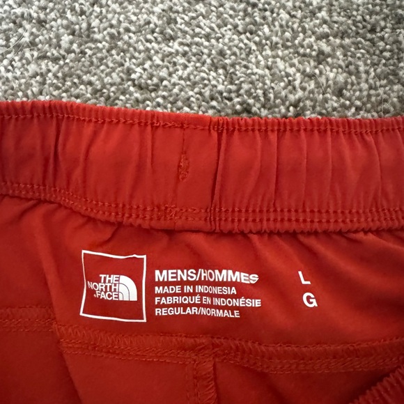 The North Face Men’s Orange Wander Shorts Size L - Picture 4 of 5